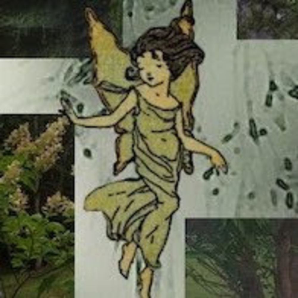 Meet your Posher, D3adfairys